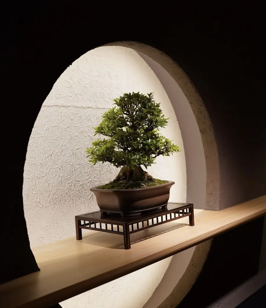 Installations of living bonsai by Mariko Bonsai Garden (BONSAI SADASYO)