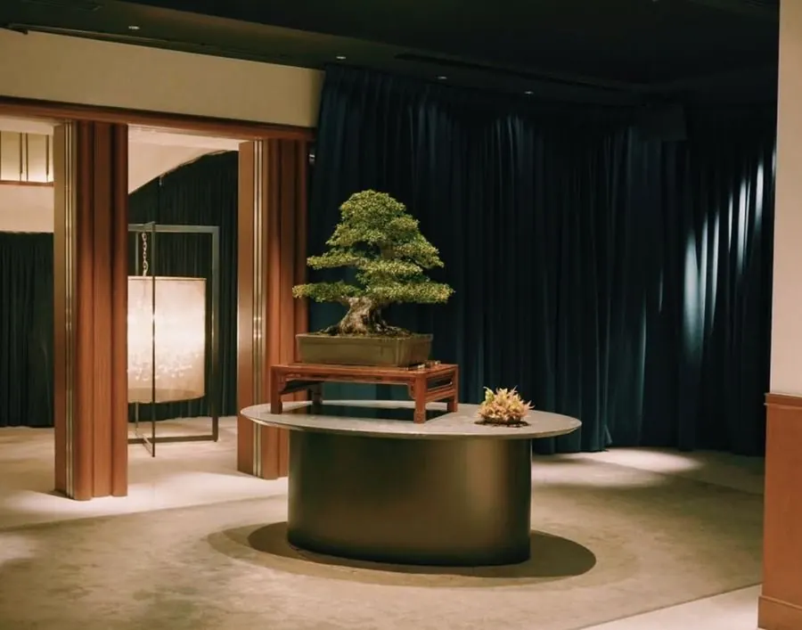 Installations of living bonsai by Mariko Bonsai Garden (BONSAI SADASYO)