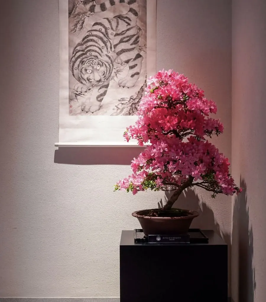 Installations of living bonsai by Mariko Bonsai Garden (BONSAI SADASYO)
