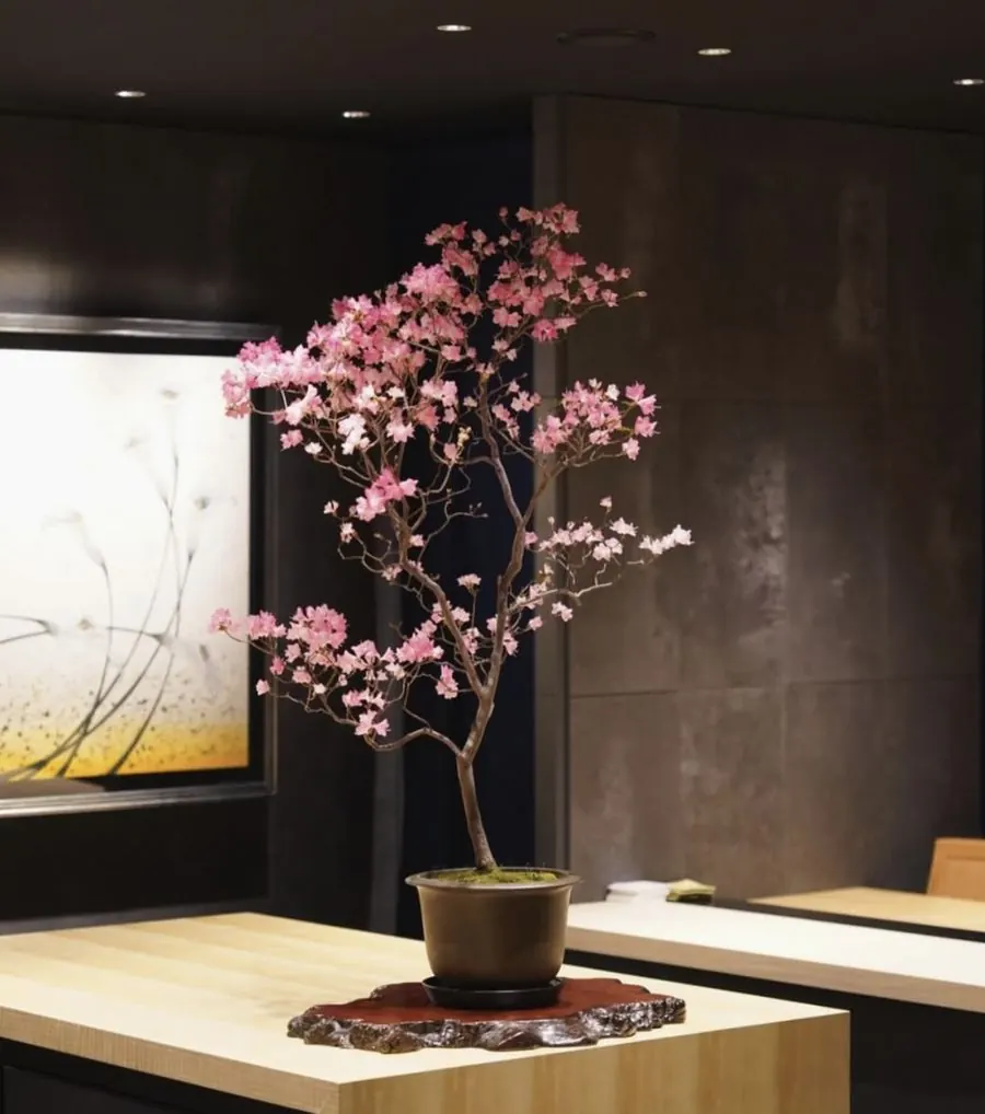 Installations of living bonsai by Mariko Bonsai Garden (BONSAI SADASYO)