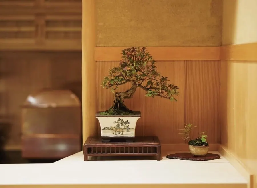 Installations of living bonsai by Mariko Bonsai Garden (BONSAI SADASYO)